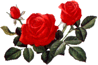 Rose_with_leaf2.png