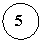 ����: 5