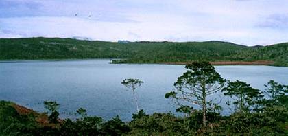 http://www.papua-adventures.com/images/pic21.jpg