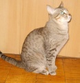 http://*****/wiki/images/thumb/b/b6/%D0%9A%D0%BE%D1%88%D0%BA%D1%80%D0%B0%D1%81%D0%B07.jpg/116px-%D0%9A%D0%BE%D1%88%D0%BA%D1%80%D0%B0%D1%81%D0%B07.jpg