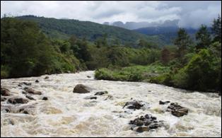 http://www.archipelago-travel.com/files/Baliem%20River%201.JPG
