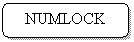 ����������� �������������: NUMLOCK




