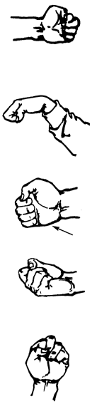 http://wushu.pp.ua/images/stories/muzrukov/.gif