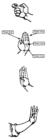 http://wushu.pp.ua/images/stories/muzrukov/.gif