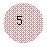 ����: 5