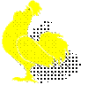D:\Мои рисунки\Бельчата\Рисунок2.gif