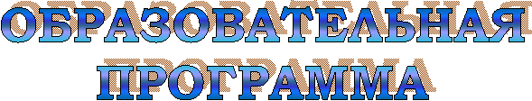 ОБРАЗОВАТЕЛЬНАЯ
ПРОГРАММА