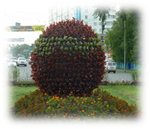 ��������: