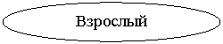 ����: ��������