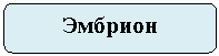 Скругленный прямоугольник: Эмбрион