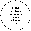����: