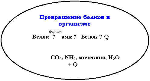 ����: