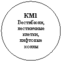 ����: