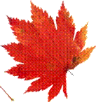 x_9c7f249a.jpg