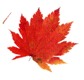 x_9c7f249a.jpg