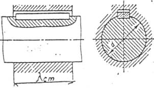 IMG.jpg