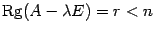 $ {{\rm Rg}

(A-{\lambda}E)=r<n}$