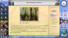 C:\Users\Елена\Desktop\ЭОР\ЭОР1.jpg