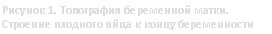 �������: