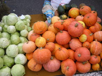 http://*****/Files/image/dscn4201.jpg