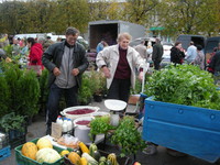 http://*****/Files/image/dscn4246.jpg