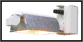 GAN Electronic