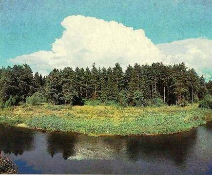 Мера.jpg