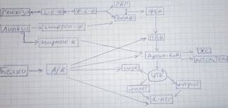 C:\Users\1\Desktop\100_4858 - копия.JPG