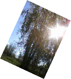 C:\Documents