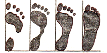 ��������: http://*****/main/images/102225/26812f47.png