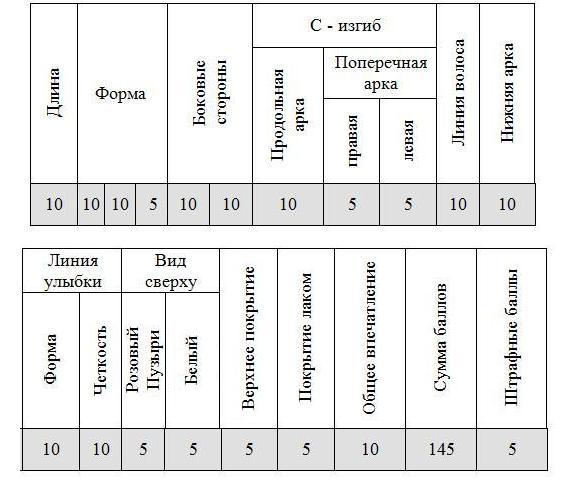 http://www.beautycup.info/championships/september2010/regulations/forma1.jpg