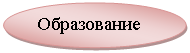 ����: �����������