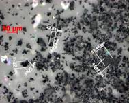 C:\��������\�����������\�������� ���������\�.� �\�.�. -0,056 1.jpg