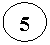����: 5