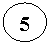 ����: 5