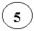 ����: 5