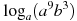 \log_a (a^{9}b^{3})