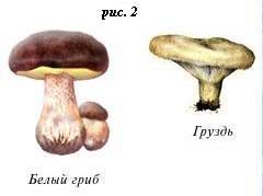 ���. 2