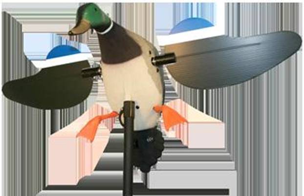 ��������: HW2107.gif