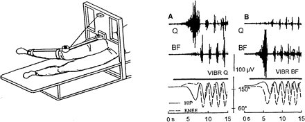 Fig. 11