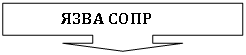 Выноска со стрелкой вниз: ЯЗВА СОПР