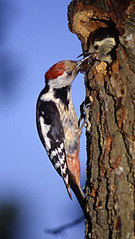 http://*****/articles/519566/img2.jpg