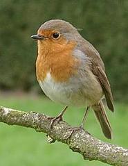 http://*****/articles/519566/img6.jpg