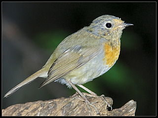 http://*****/articles/519566/img7.jpg