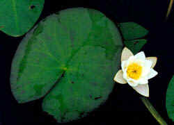 http://*****/articles/519566/img8.jpg