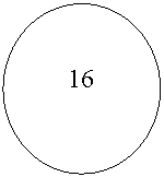 ����: 16

