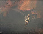http://*****/img2/apr11_8.jpg