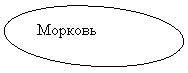 Овал: Морковь