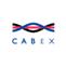 CABEX (������, ������� � ����������)'2007