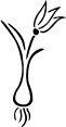 C:\Users\user\AppData\Local\Microsoft\Windows\Temporary Internet Files\Content.IE5\3SYSC55P\MC[1].wmf